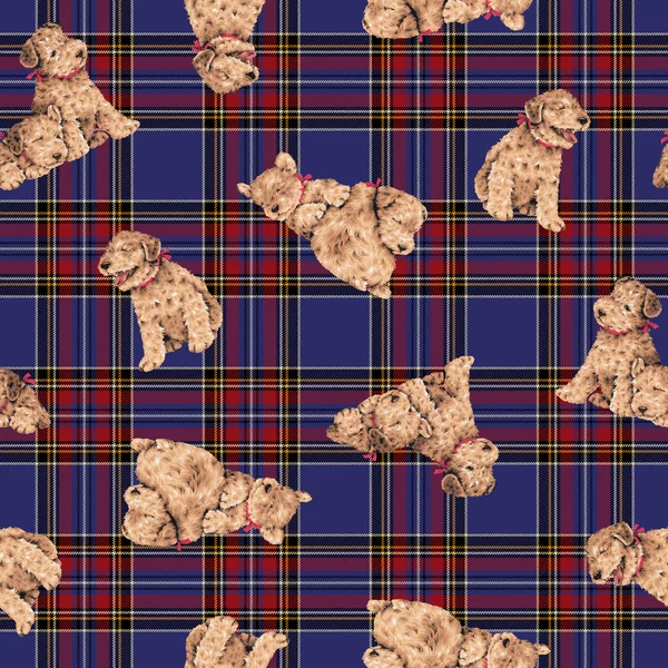 Dog pattern — Stock Photo, Image