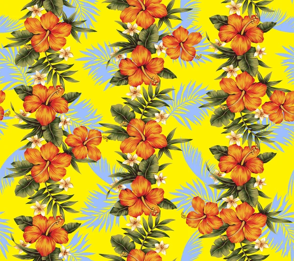 Pattern of Hibiscus — Stock Photo, Image