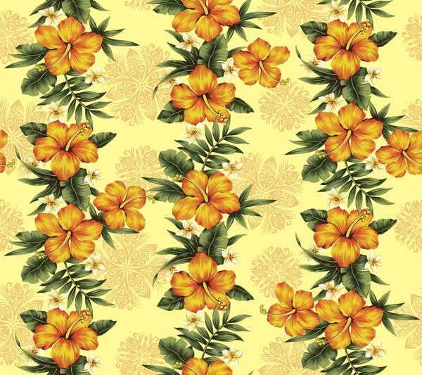 Pattern of Hibiscus — Stock Photo, Image