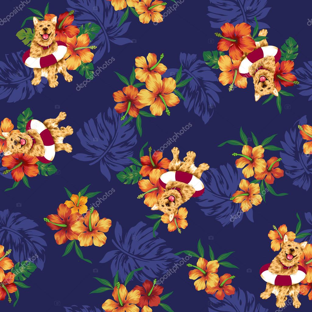 Hibiscus y perro 2023