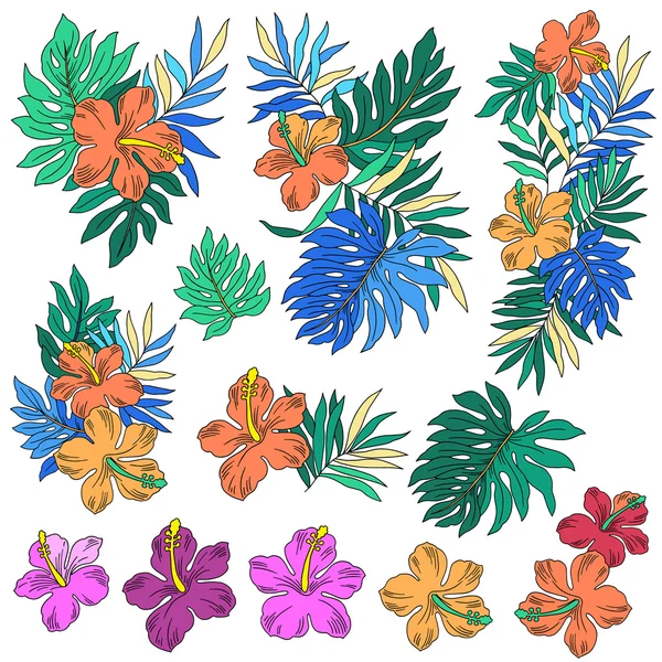 Illustration av hibiskus — Stock vektor