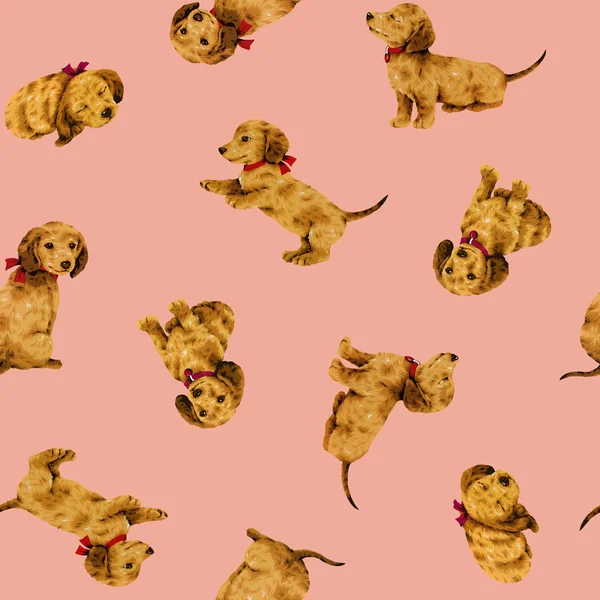 강아지 패턴 — 스톡 사진