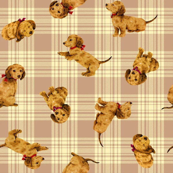 Dog pattern — Stock Photo, Image