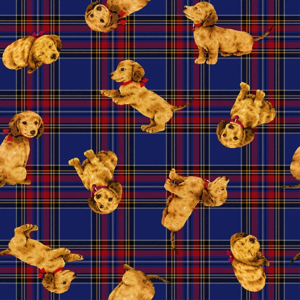 Dog pattern — Stock Photo, Image