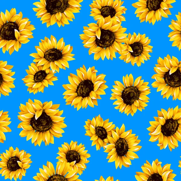 Sunflower pattern — Stock Photo, Image