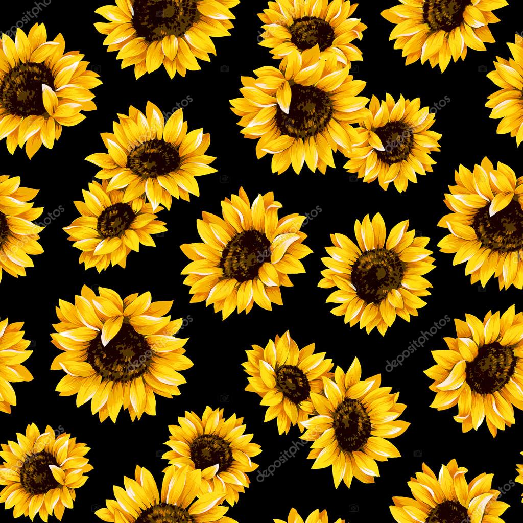 All Black Sunflower Wallpaper : Macro Photo Of Water Dew On Sunflower