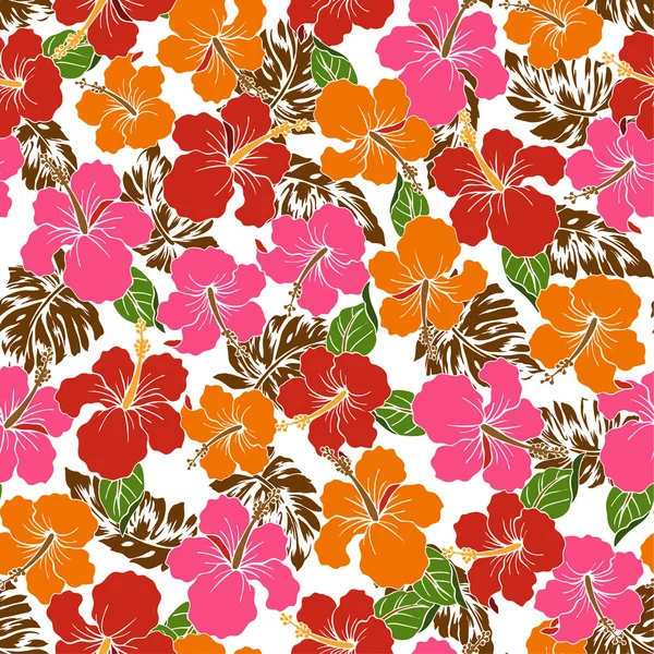 Modèle d'Hibiscus — Image vectorielle