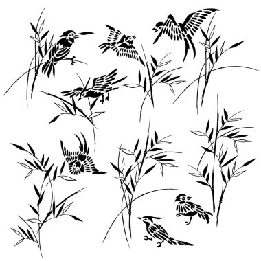 Bambu kuş çizimi,
