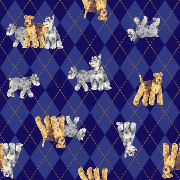 Dog pattern — Stock Photo, Image