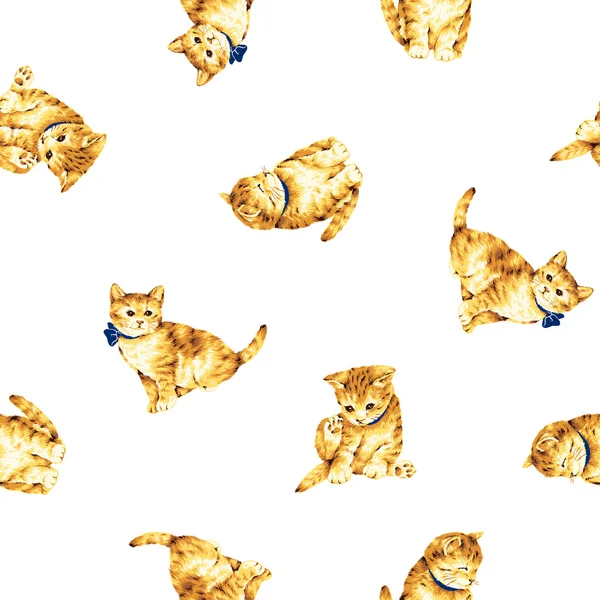 Cat pattern — Stock Photo, Image