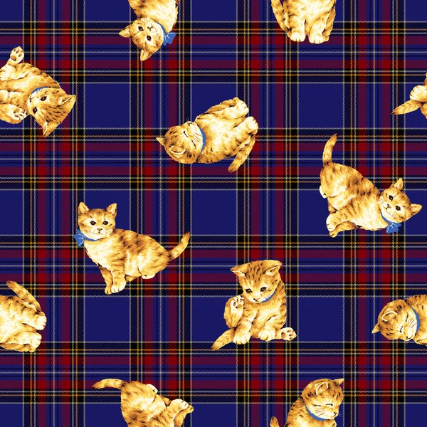 고양이 패턴 — 스톡 사진