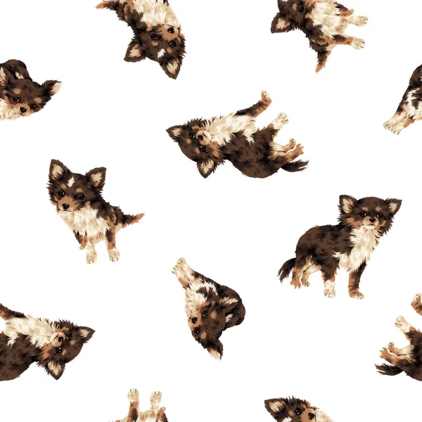 Dog pattern — Stock Photo, Image