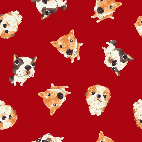 Dog pattern — Stock Photo, Image