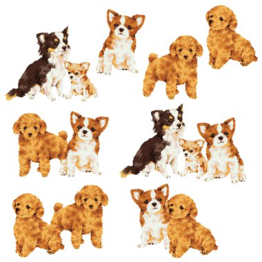 köpek çizimi