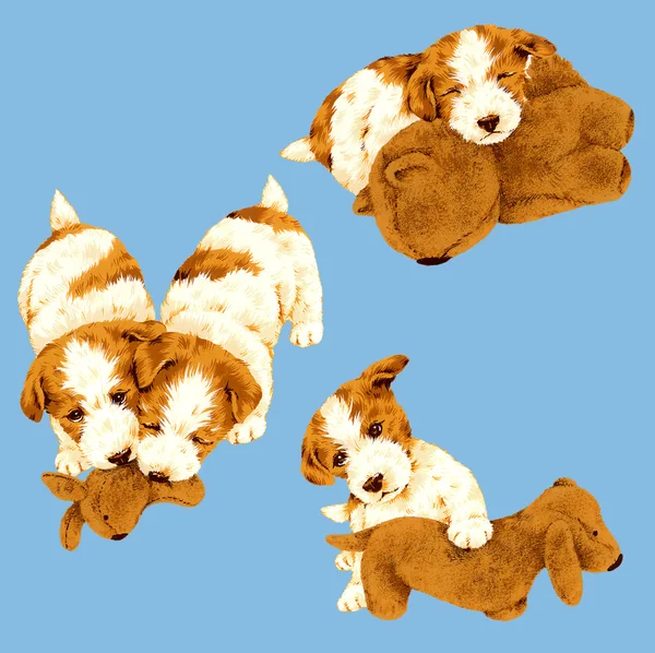 Illustration of dog — Stock Photo, Image