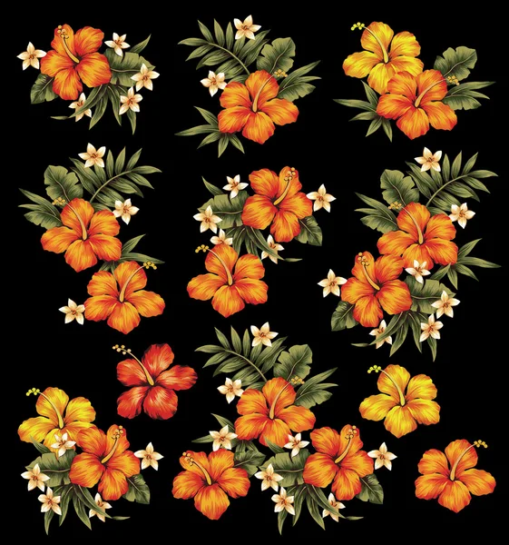 Illustrazione dei fiori di ibisco — Foto Stock