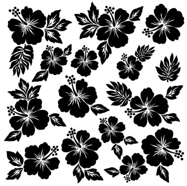 Hibiscus Çiçek Çizimi