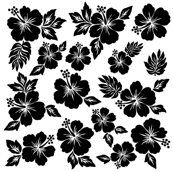 Hibiskusblüten-Illustration — Stockvektor