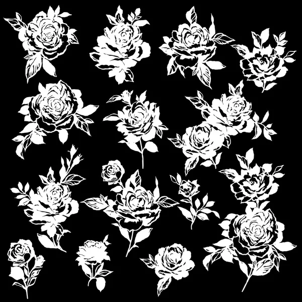 Rose flower illustration, — Stock Vector