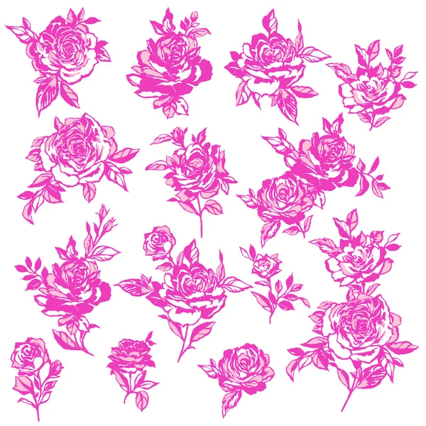 Roze bloem illustratie, — Stockvector