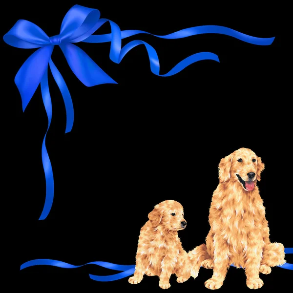 Afbeelding van hond en lint — Stockfoto
