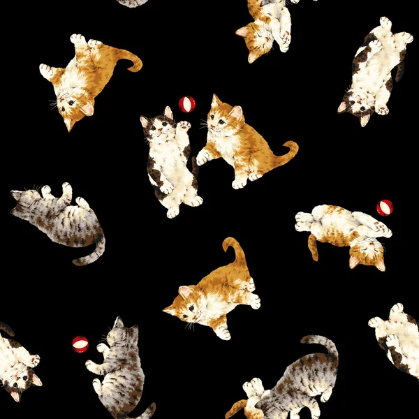 Joli motif de chat — Photo