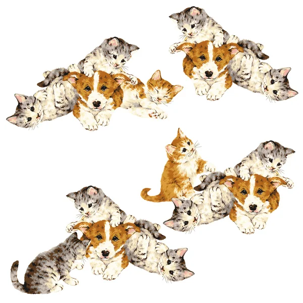 Hübsche Katzen-Illustration — Stockfoto