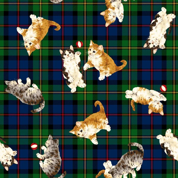 Pretty cat pattern — Stock Photo, Image