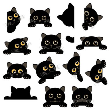 Eşsiz ve ilginç kedi resimleri koleksiyonu.,