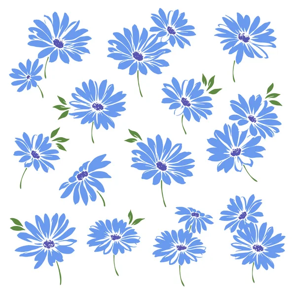 Marguerite blomma illustration — Stockfoto