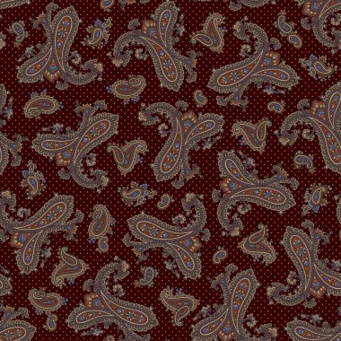Paisley illüstrasyon model