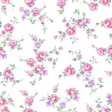 Gül illüstrasyon model