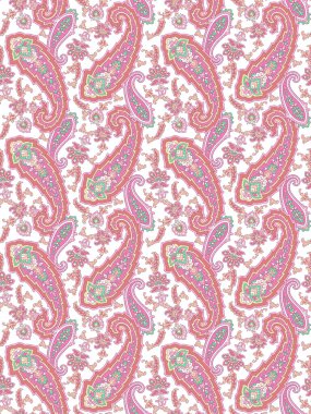Paisley illüstrasyon model