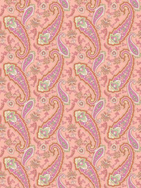 Paisley illüstrasyon model