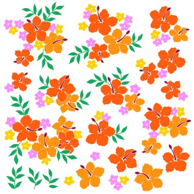 Hibiscus Çiçek Çizimi