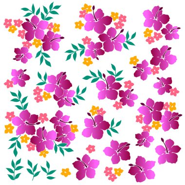 Hibiscus Çiçek Çizimi