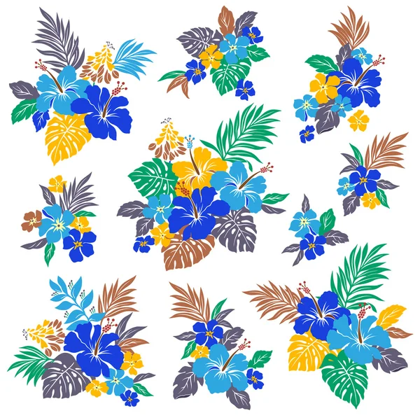 Ilustrace květu ibišku — Stockový vektor