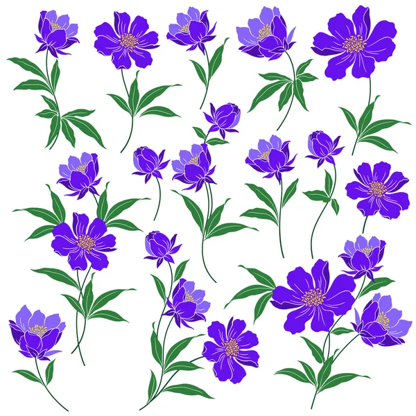 Objeto de ilustração floral — Vetor de Stock