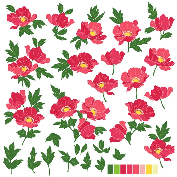 Objet illustration fleur — Image vectorielle