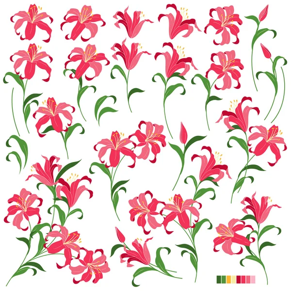 Oggetto illustrazione fiore — Vettoriale Stock