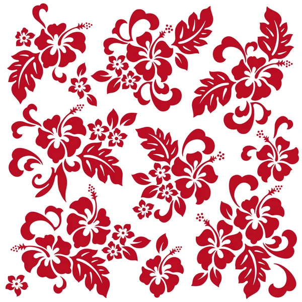 Hibiszkusz virág illusztráció — Stock Vector