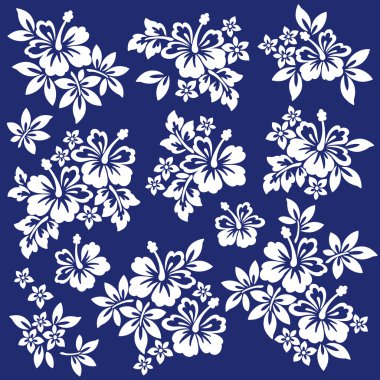 Hibiscus Çiçek Çizimi