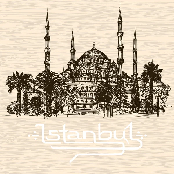 Isztambul. Kézzel rajzolt ábra — Stock Vector