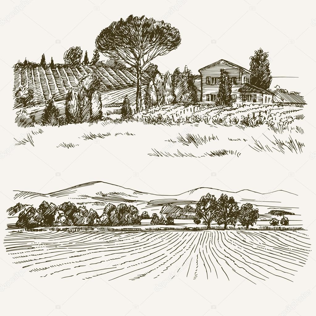 Rural landscape with country house and vineyard.