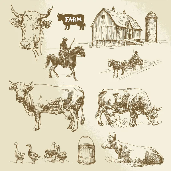 Granja, vaca, agricultura - colección dibujada a mano — Vector de stock