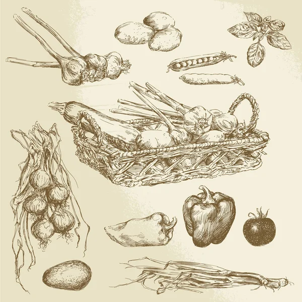 Zelenina - ručně kreslenou kolekce — Stockový vektor