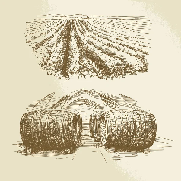 Fässer, Weinberg, Ernte, Bauernhof - handgezeichnete Sammlung — Stockvektor