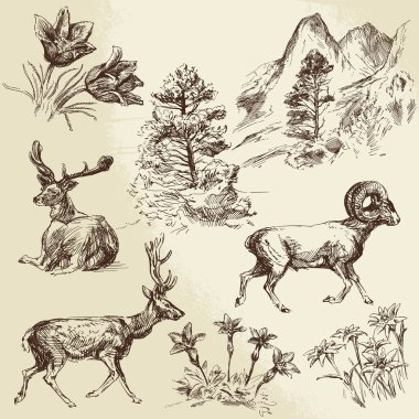 wild nature, forest and mountains  clipart
