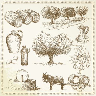 Zeytin - elle çizilmiş ayarla