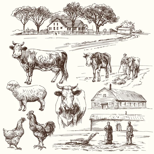 Granja, vaca, agricultura - colección dibujada a mano — Vector de stock